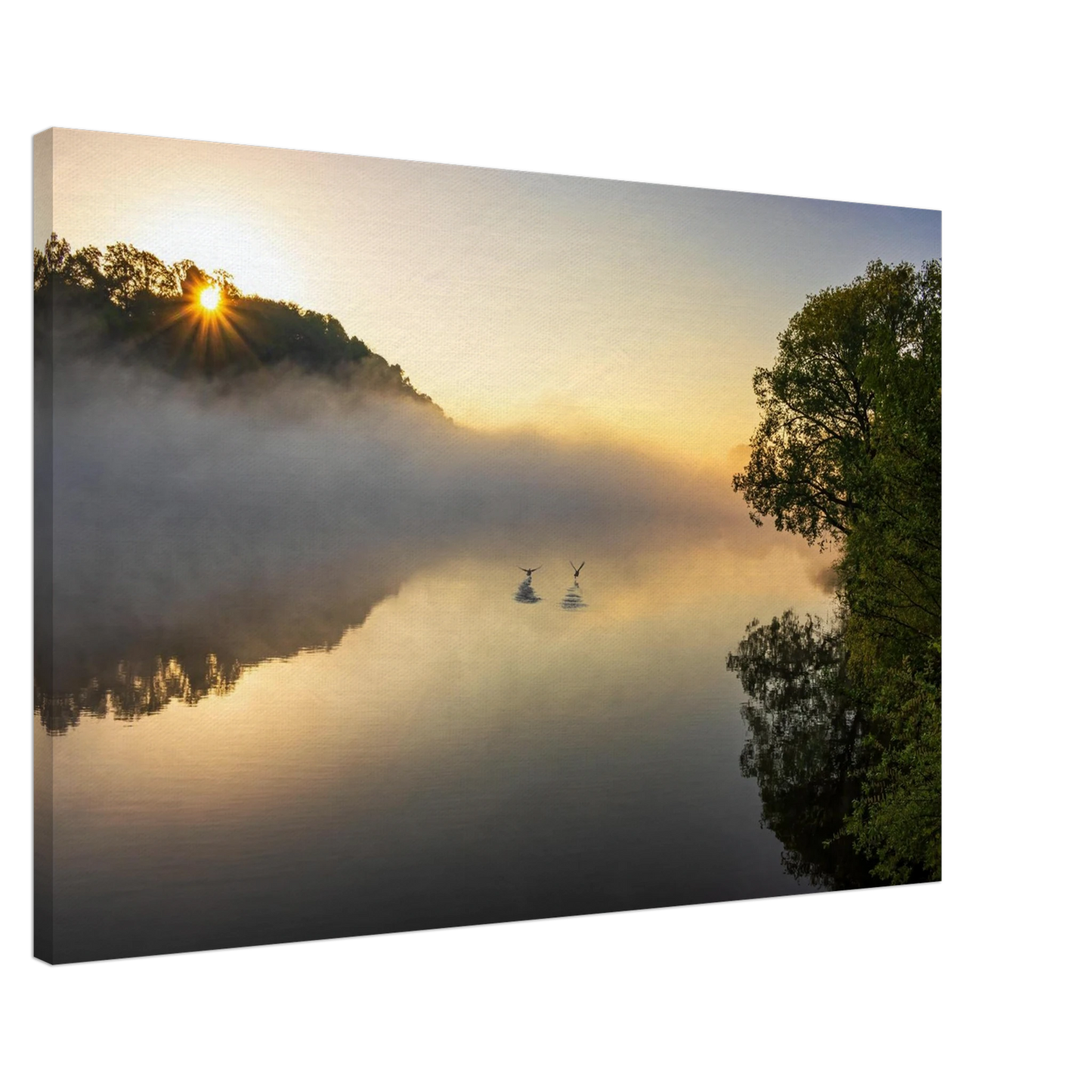 Wandbild mystischer sonnenaufgang ueber dem nebelmeer stille wasser voegel leinwandbild fuer ihr zuhause