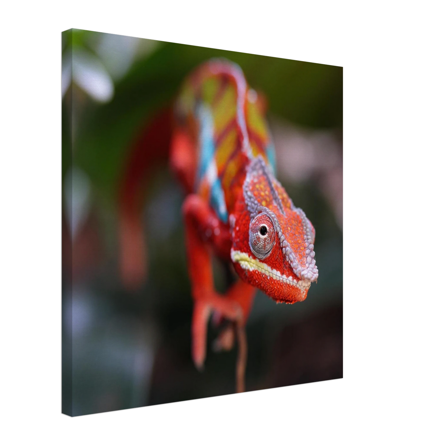 Wandbild faszinierendes chamaeleon portraet lebendige tierkunst fuer ihr zuhause in ihrer wunschgroesse