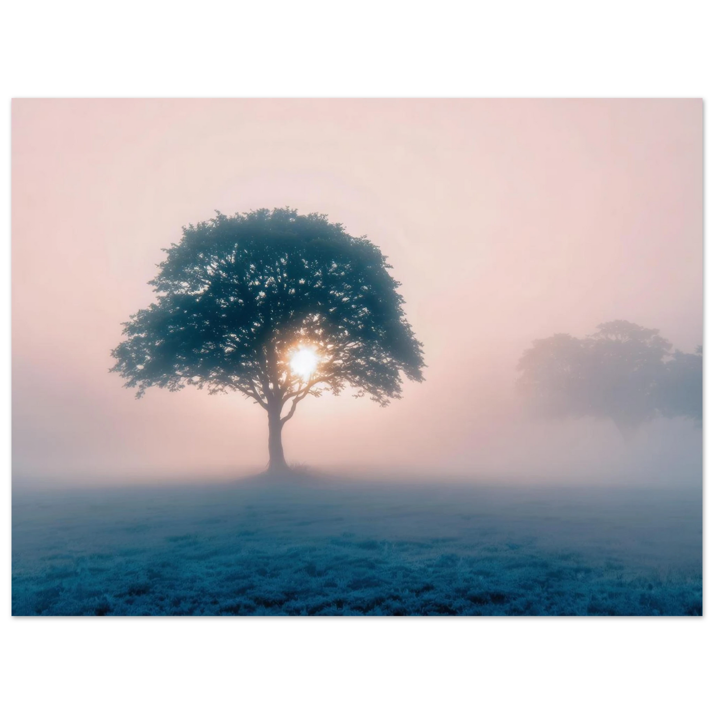 Wandbild mystischer morgendaemmerung baum traumhaftes landschaftsbild fuer ihre wohlfuehloase