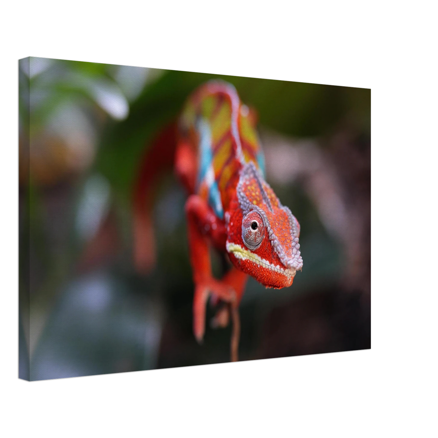 Wandbild faszinierendes chamaeleon portraet lebendige tierkunst fuer ihr zuhause in ihrer wunschgroesse