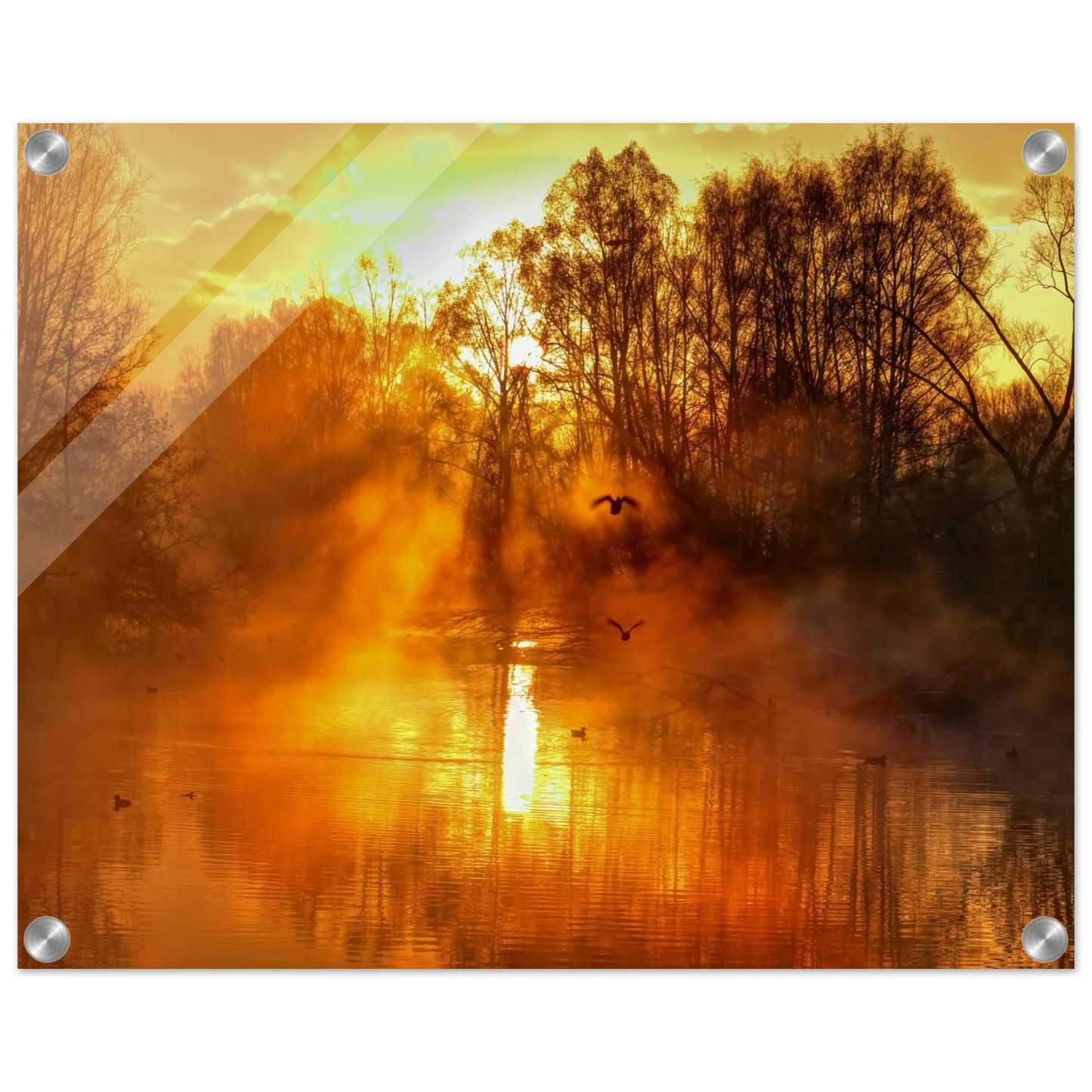 Wandbild Goldene morgenroete wandbild nebelwald poster in 25 groessenausfuehrungen