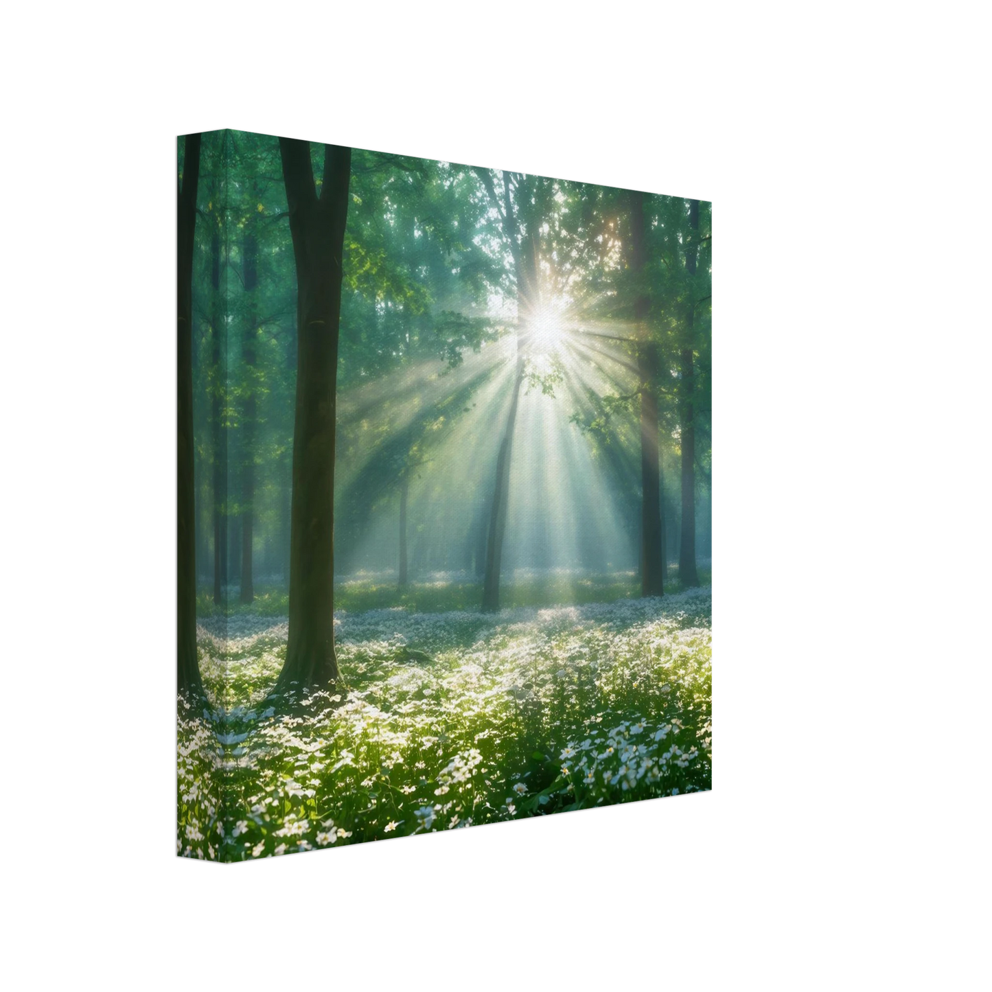 Wandbild mystischer wald sonnenstrahlen im gruenen bluetenmeer