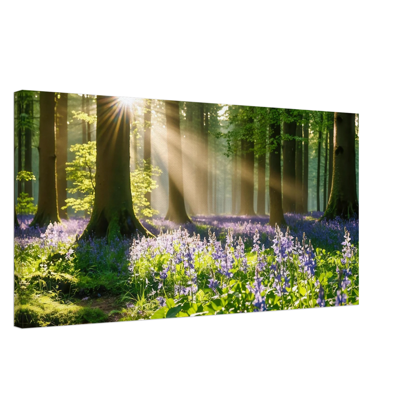 Wandbild mystischer morgenwald mit sonnenstrahlen und lila blueten in vielen groessen