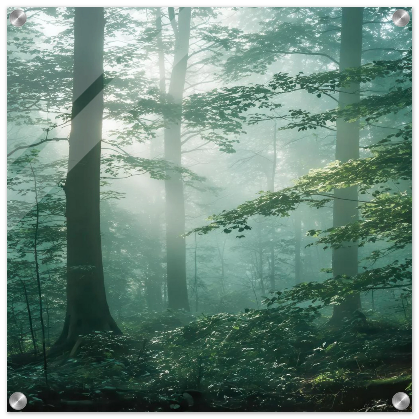 Wandbild mystischer smaragd wald mit sonnenstrahlen beruhigende nebelwald kunst in ihrer wunschgroesse