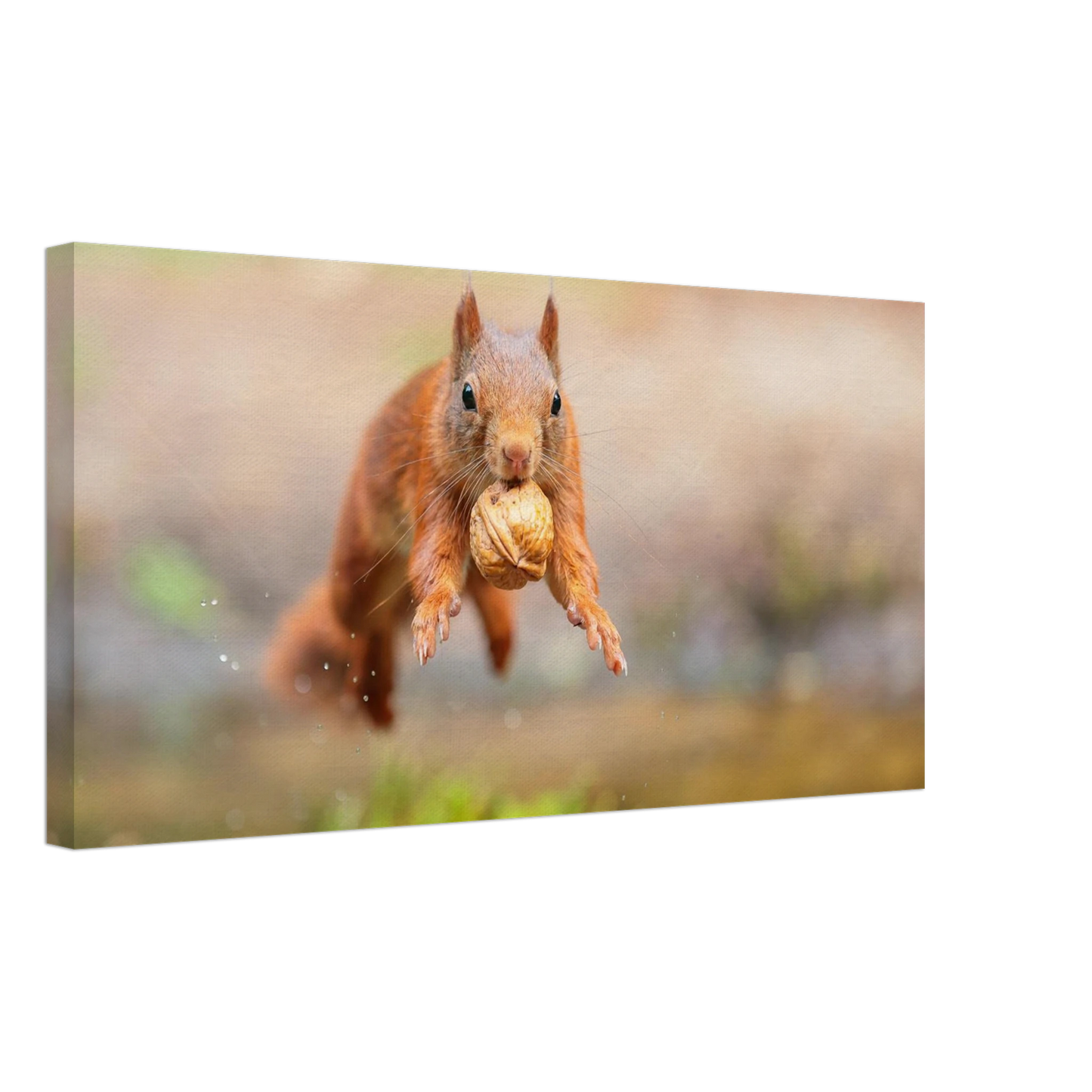 Wandbild eichhoernchens freudensprung dynamische tierkunst in leuchtenden farben