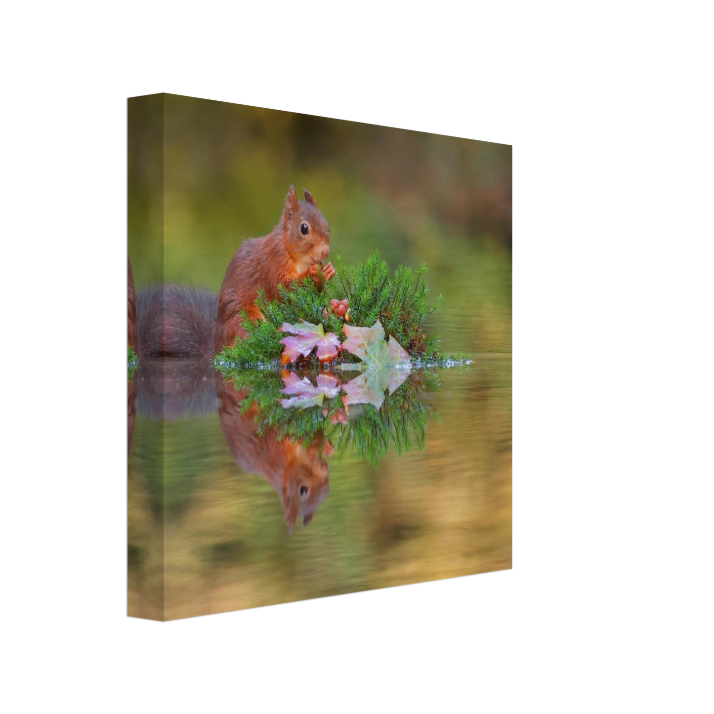 Wandbild bezauberndes eichhoernchen im herbstwald lebendige wildtierkunst fuer ihr zuhause in vielen groessen