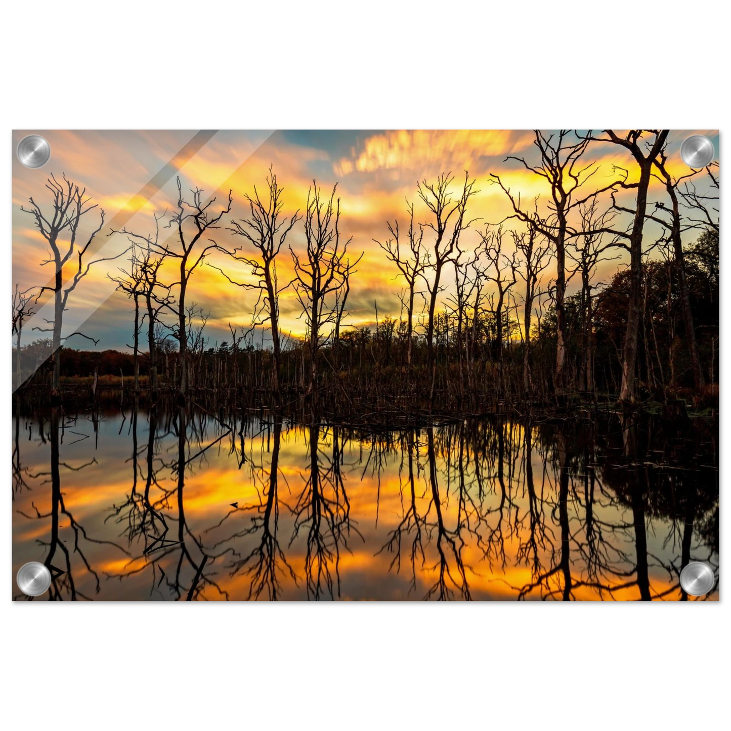 Wandbild mystischer sonnenuntergang ueber dem baumsee lebendige kunstdrucke in vielen groessen