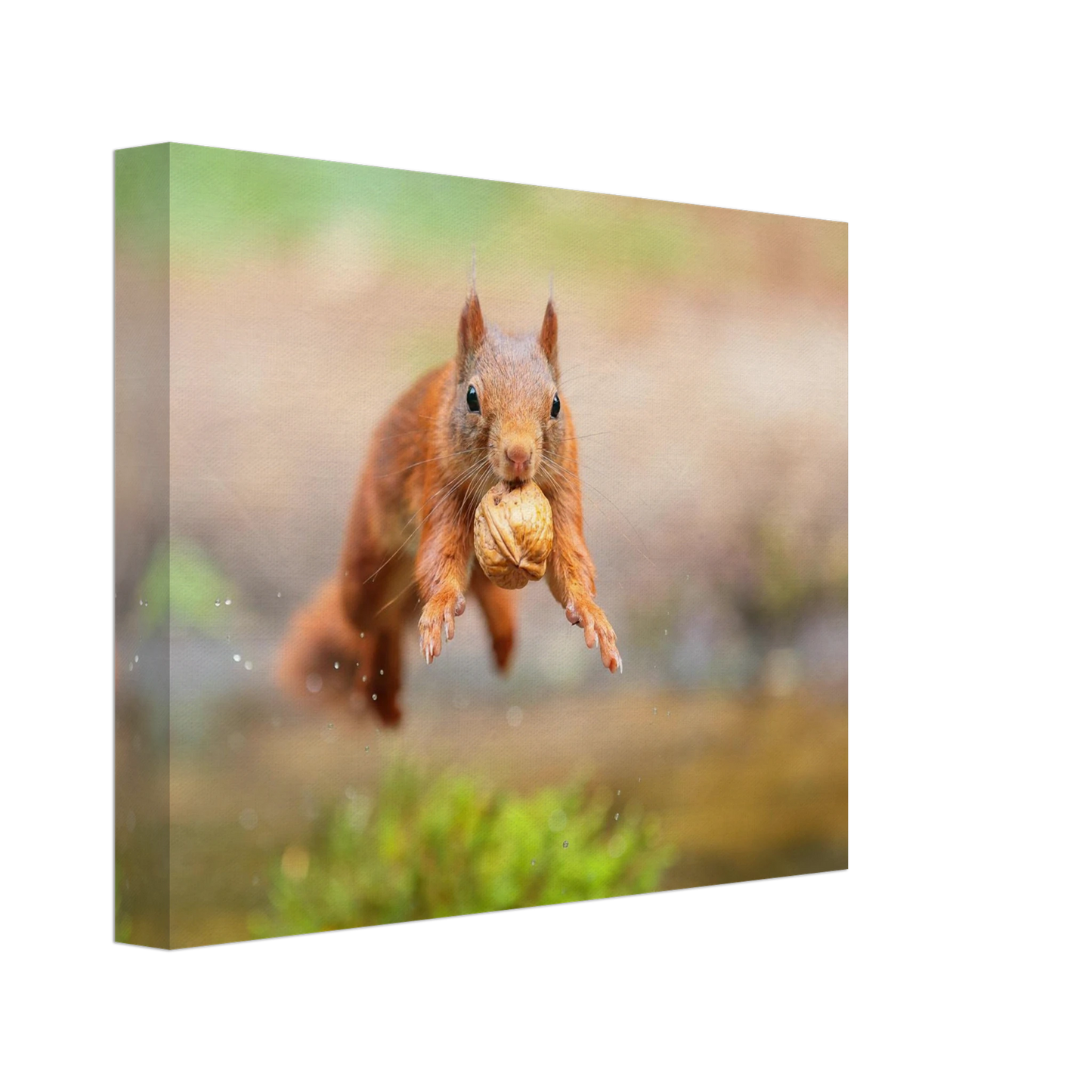 Wandbild eichhoernchens freudensprung dynamische tierkunst in leuchtenden farben
