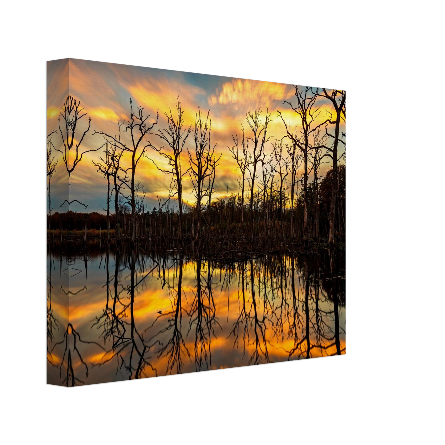 Wandbild mystischer sonnenuntergang ueber dem baumsee lebendige kunstdrucke in vielen groessen