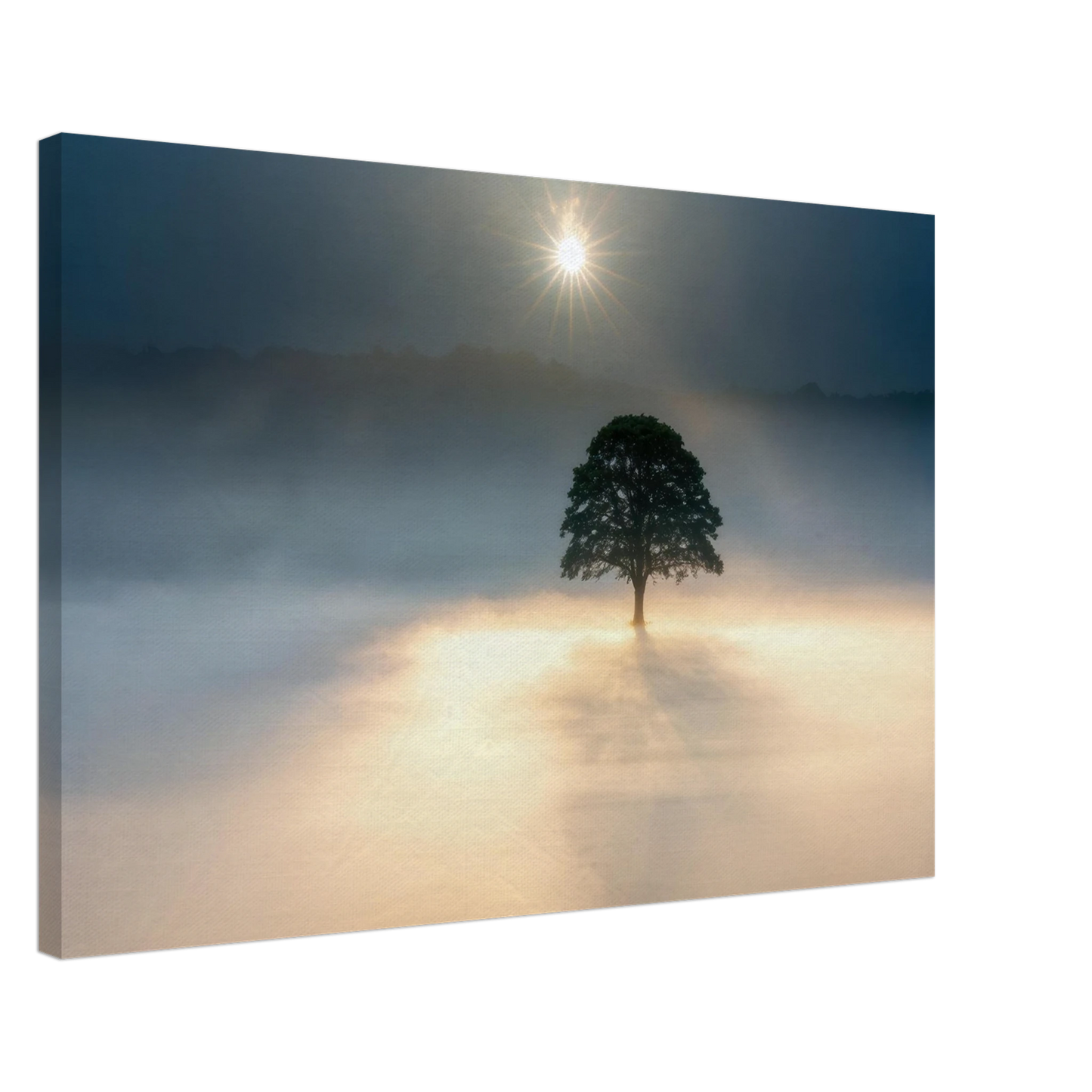 Wandbild mystisches baum wandbild einzelner baum im nebel sonnenaufgang waehlbar in verschiedenen groessen