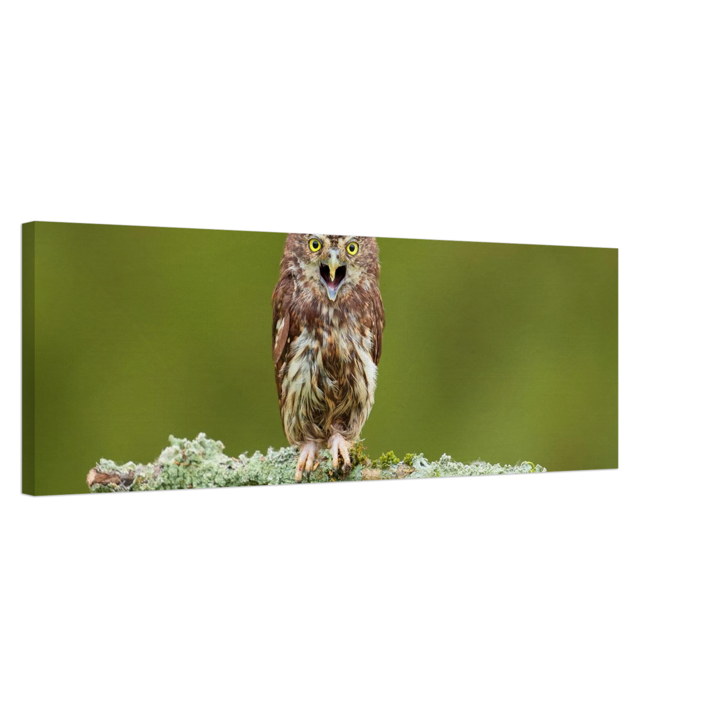 Wandbild rufer der wildnis faszinierendes eulen portraet mit leuchtenden augen fuer ihr zuhause