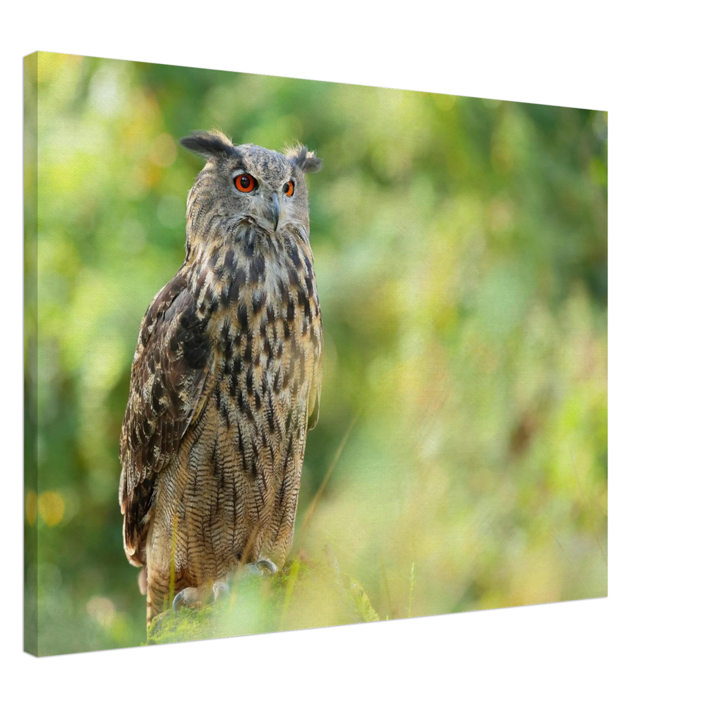 Wandbild mystische eule majestaetisches waldtier mit leuchtenden augen in ihrer wunschgroesse
