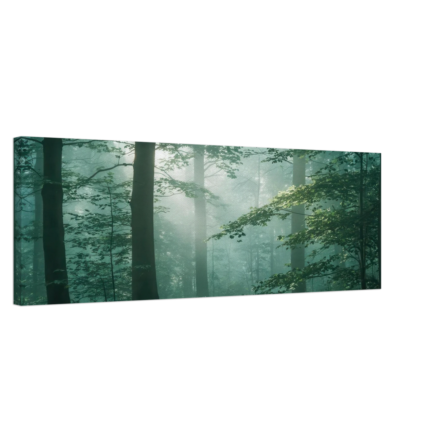 Wandbild mystischer smaragd wald mit sonnenstrahlen beruhigende nebelwald kunst in ihrer wunschgroesse