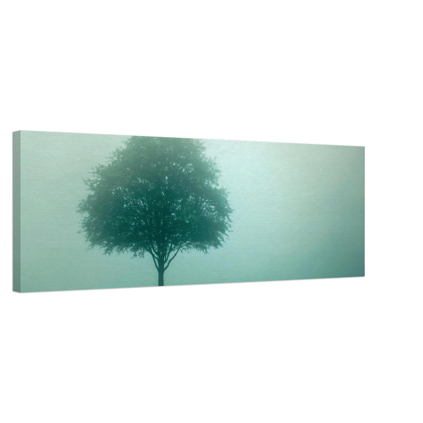Wandbild mystischer baum im nebel ruhe und gruentoene fuer dein zuhause