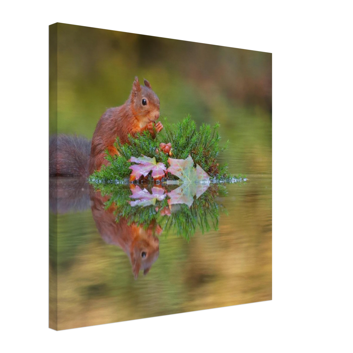 Wandbild bezauberndes eichhoernchen im herbstwald lebendige wildtierkunst fuer ihr zuhause in vielen groessen
