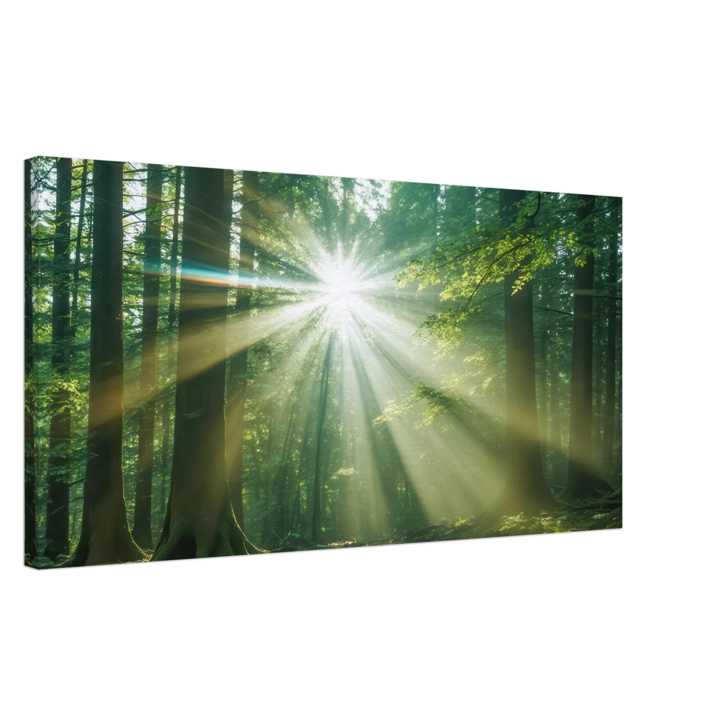 Wandbild sonnenstrahlen im wald mystisches waldlicht kunstdruck in ihrer wunschgroesse