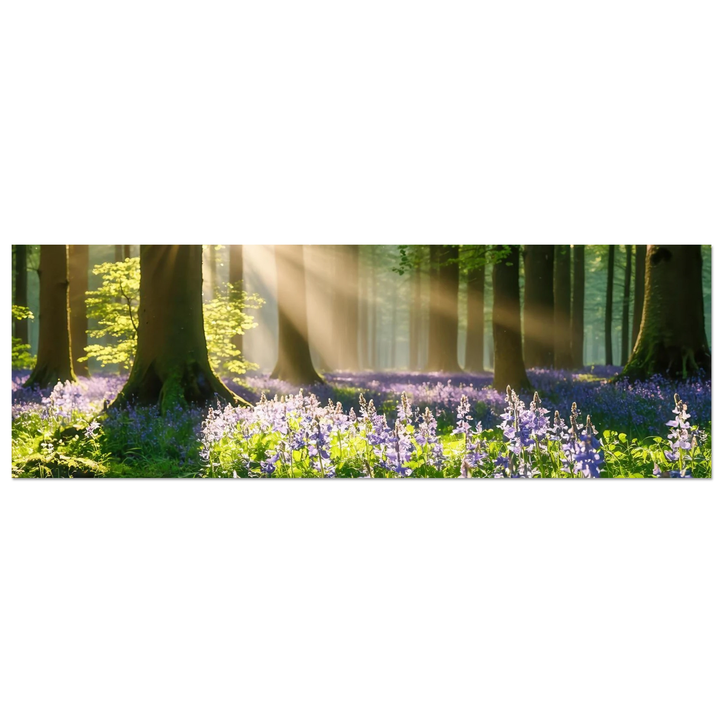 Wandbild mystischer morgenwald mit sonnenstrahlen und lila blueten in vielen groessen