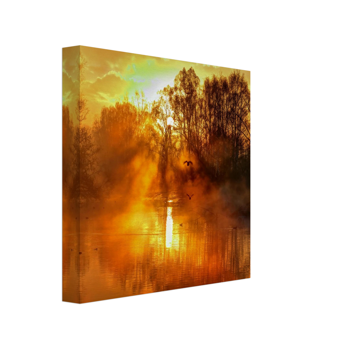 Wandbild Goldene morgenroete wandbild nebelwald poster in 25 groessenausfuehrungen