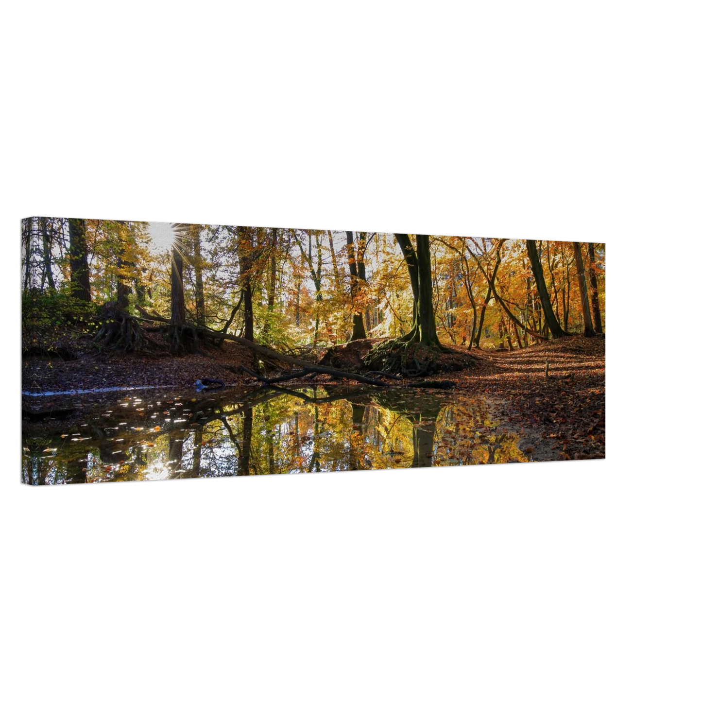 Wandbild goldener herbstwald stimmungsvolle spiegelung der natur in ihrer wunschgroesse