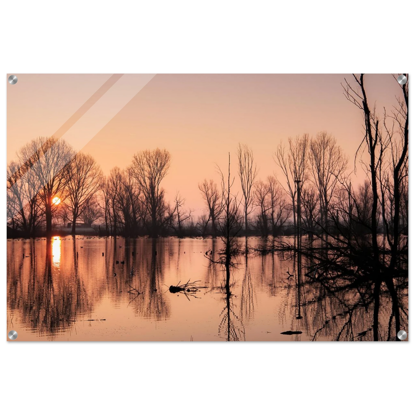 Wandbild mystischer sonnenuntergang am see vertraeumtes naturbild zum aufhaengen in ihrer wunschgroesse