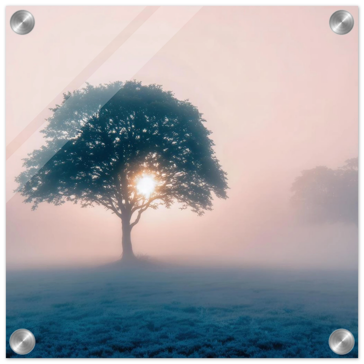 Wandbild mystischer morgendaemmerung baum traumhaftes landschaftsbild fuer ihre wohlfuehloase