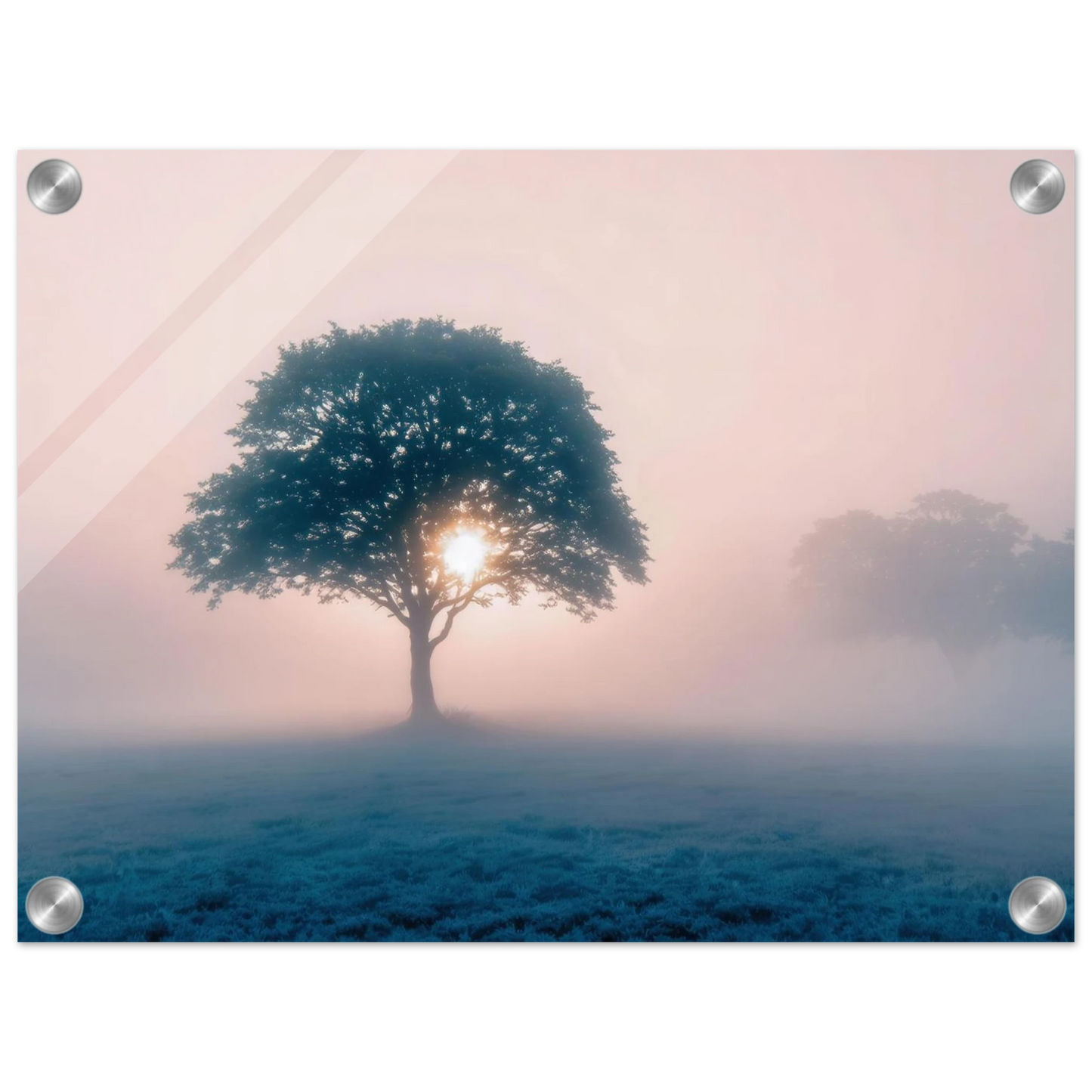 Wandbild mystischer morgendaemmerung baum traumhaftes landschaftsbild fuer ihre wohlfuehloase