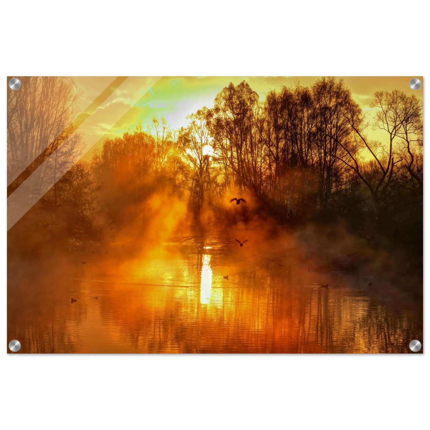 Wandbild Goldene morgenroete wandbild nebelwald poster in 25 groessenausfuehrungen