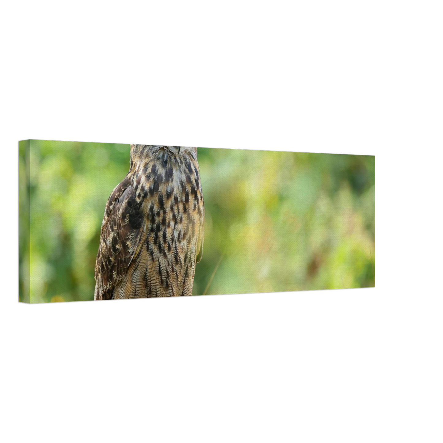 Wandbild mystische eule majestaetisches waldtier mit leuchtenden augen in ihrer wunschgroesse