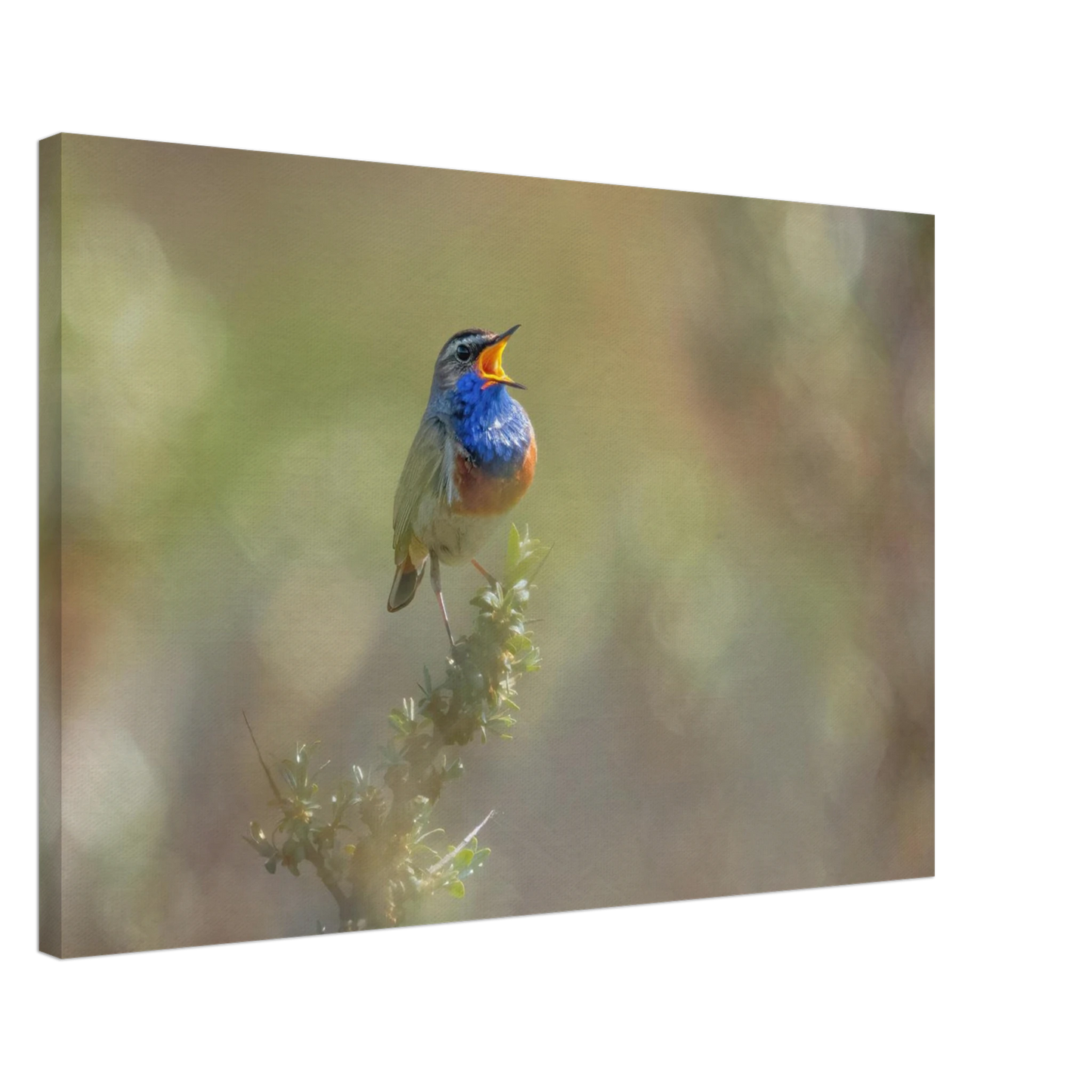 Wandbild singvogel in blautoenen lebendige vogelkunst fuer ihr zuhause in ihrer wunschgroesse