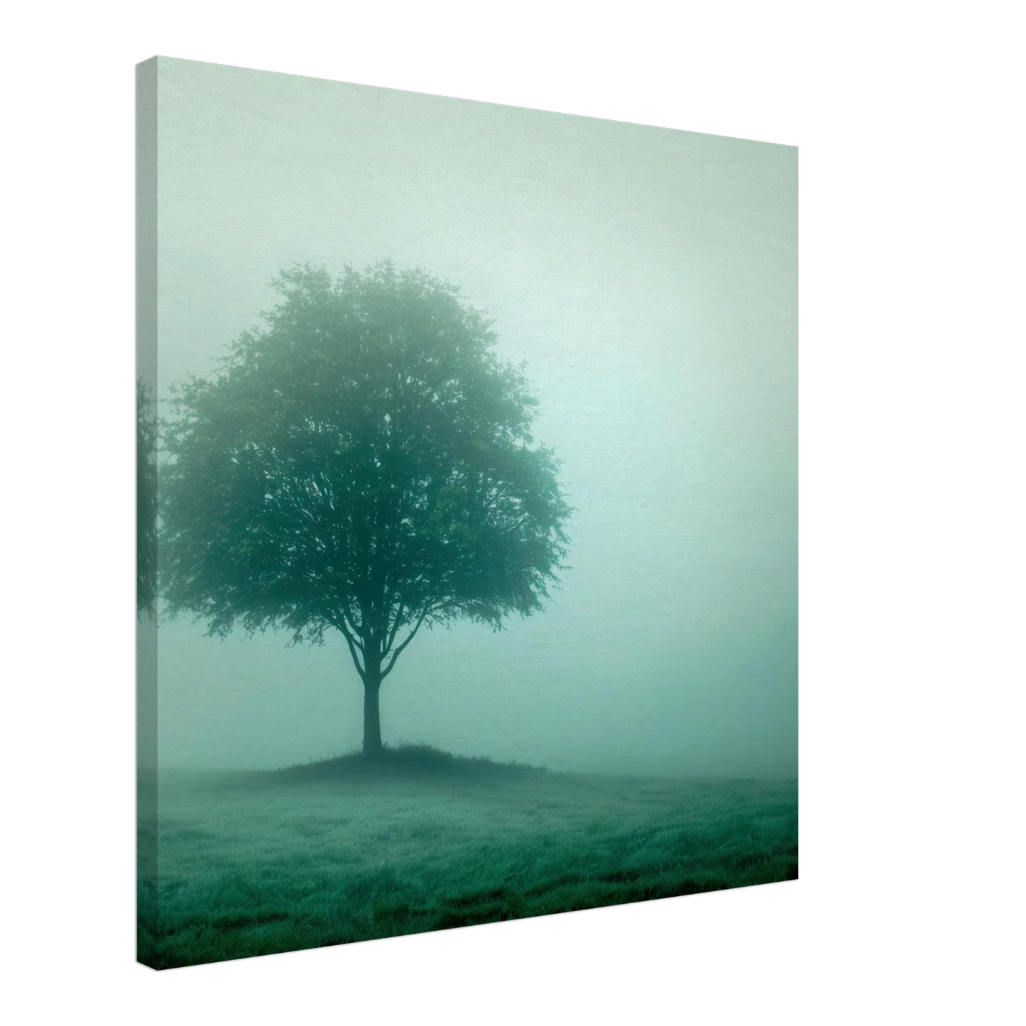 Wandbild mystischer baum im nebel ruhe und gruentoene fuer dein zuhause