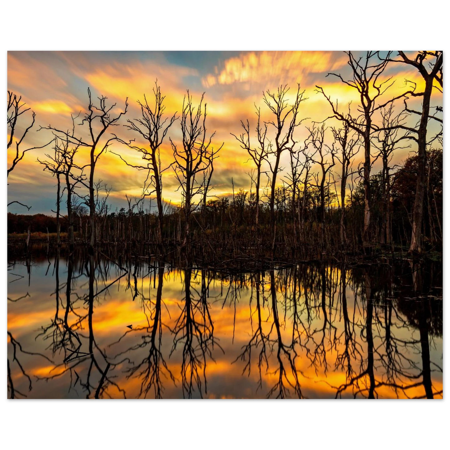 Wandbild mystischer sonnenuntergang ueber dem baumsee lebendige kunstdrucke in vielen groessen