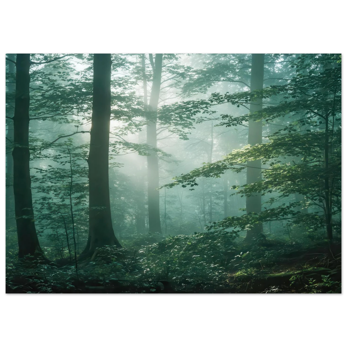 Wandbild mystischer smaragd wald mit sonnenstrahlen beruhigende nebelwald kunst in ihrer wunschgroesse