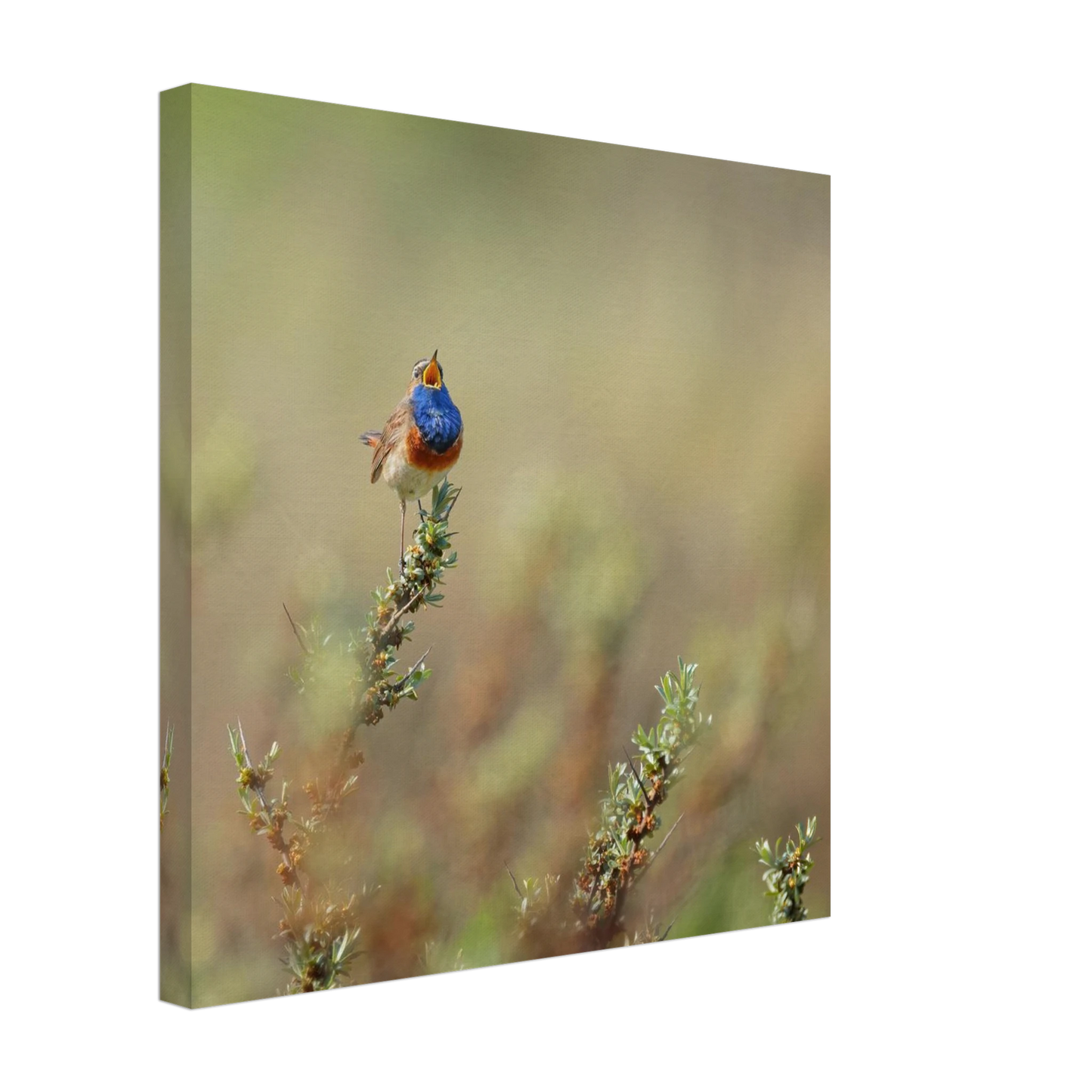 Wandbild lebendige nachtigall ein meisterwerk der naturfotografie fuer ihr zuhause
