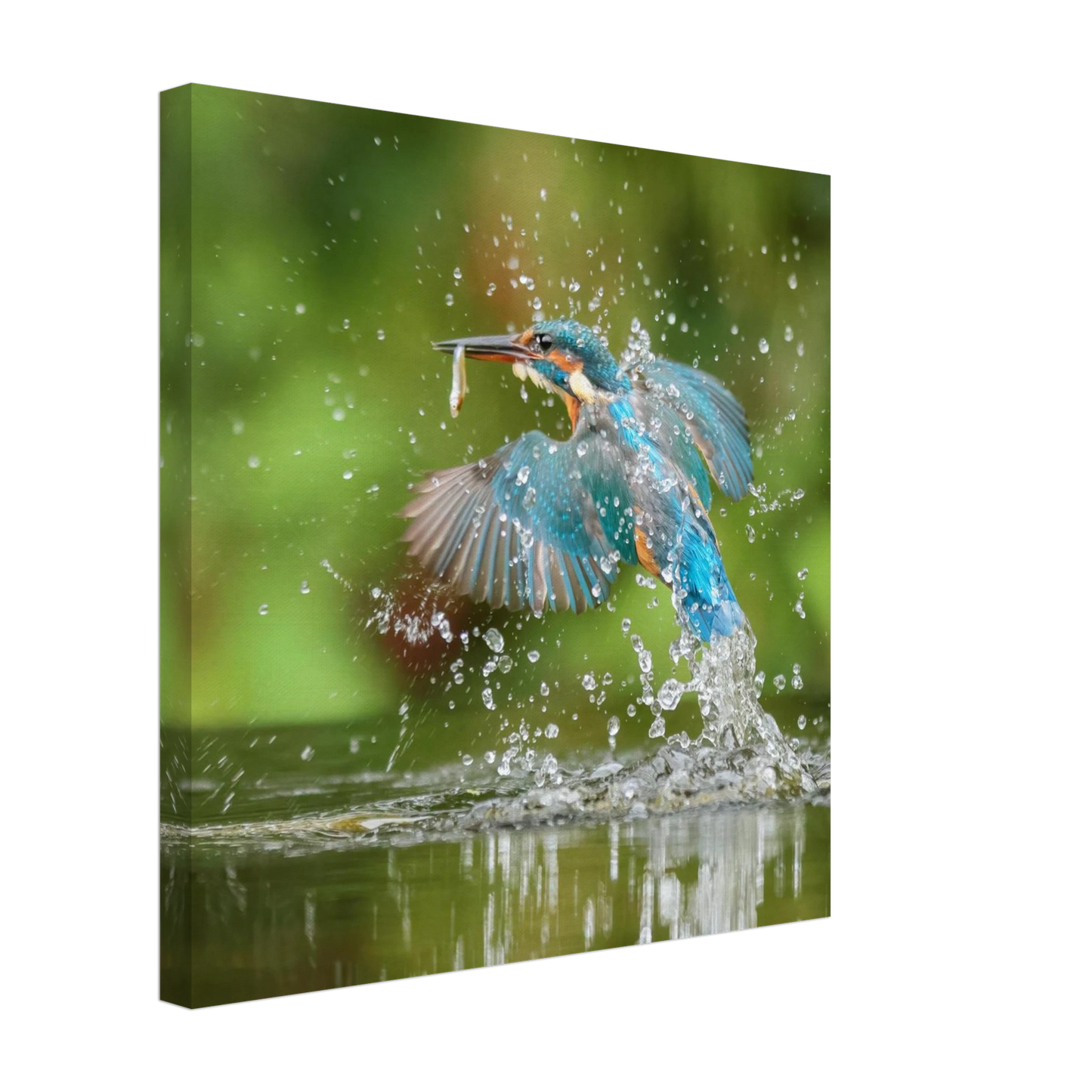 Wandbild eisvogel im sturzflug lebendige wildtierkunst fuer ihr zuhause