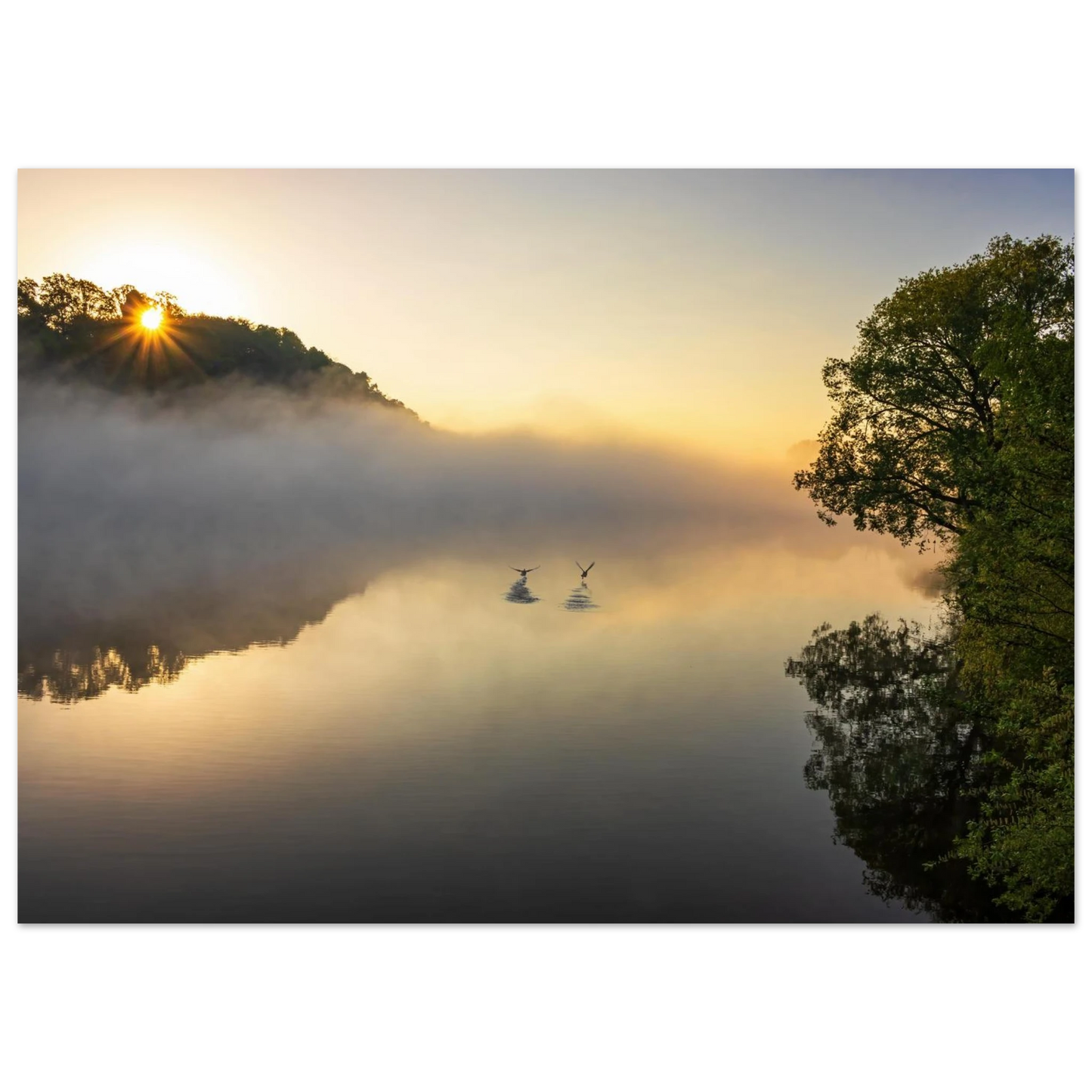 Wandbild mystischer sonnenaufgang ueber dem nebelmeer stille wasser voegel leinwandbild fuer ihr zuhause