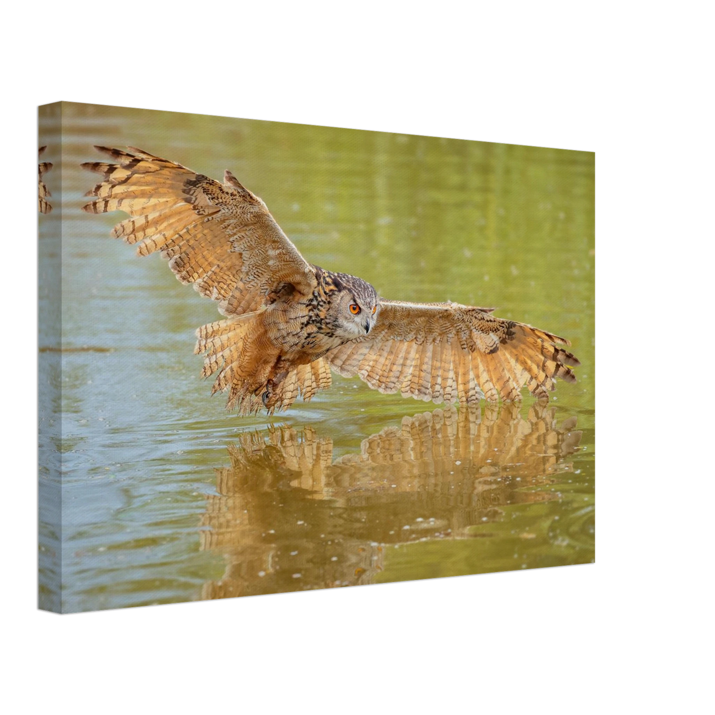 Wandbild majestaetischer uhu im jagdflug atemberaubende wildtierkunst in verschiedenen groessen