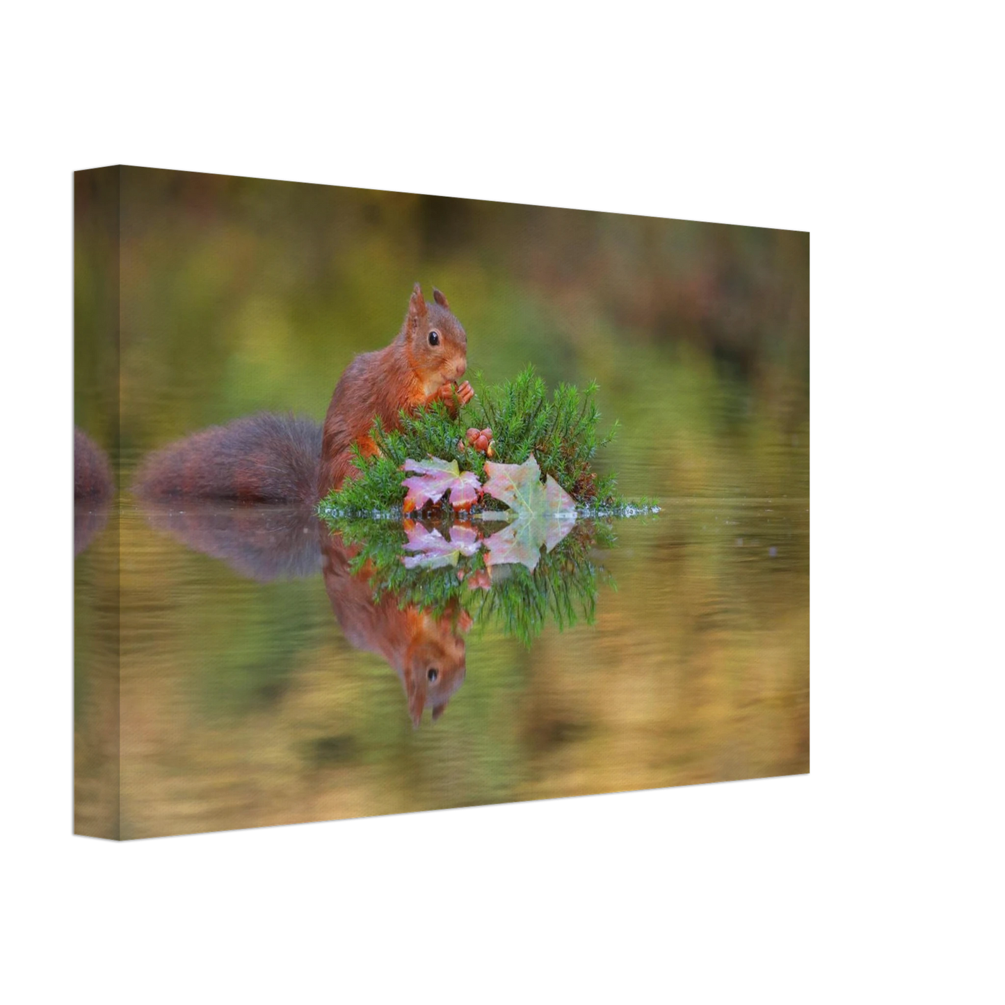 Wandbild bezauberndes eichhoernchen im herbstwald lebendige wildtierkunst fuer ihr zuhause in vielen groessen