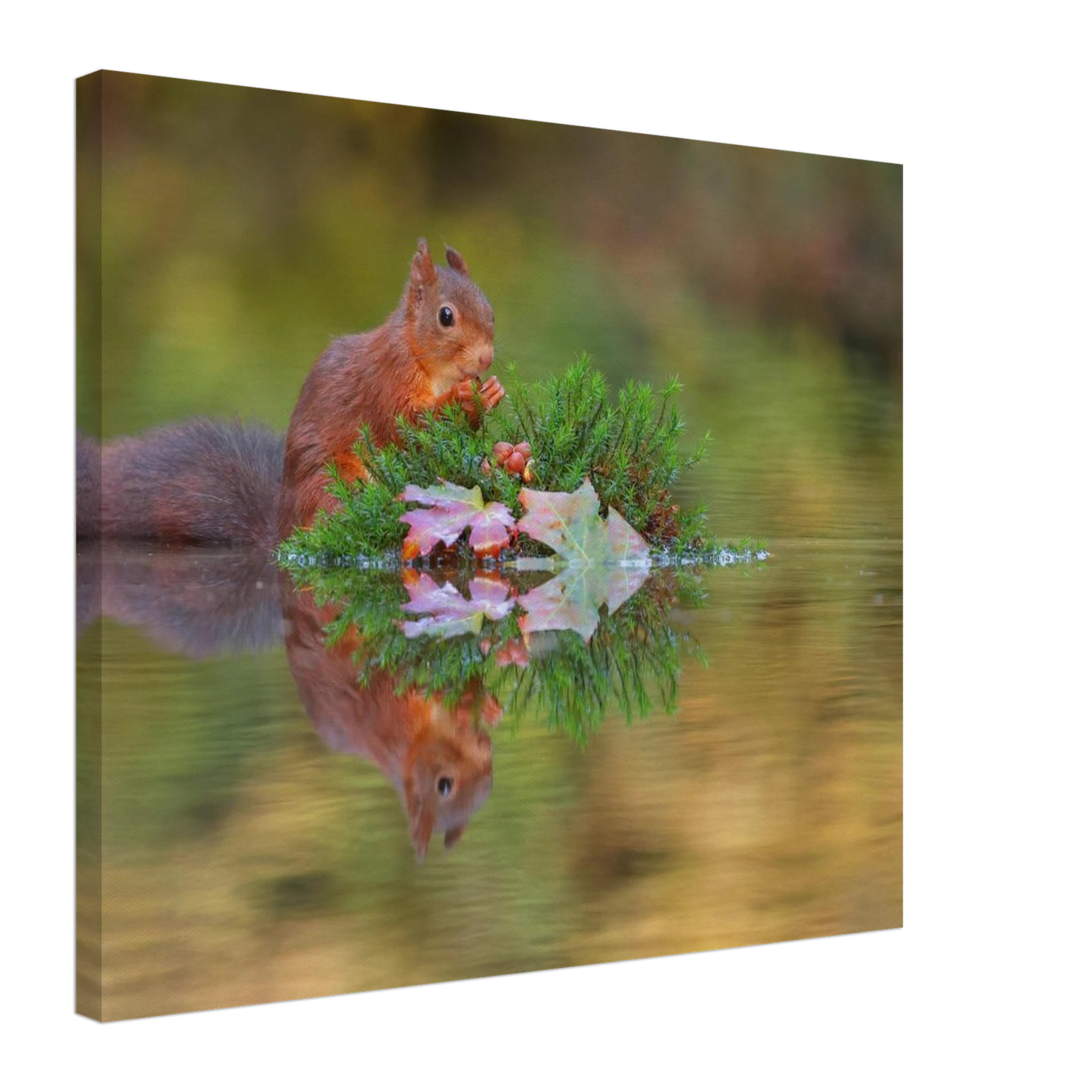 Wandbild bezauberndes eichhoernchen im herbstwald lebendige wildtierkunst fuer ihr zuhause in vielen groessen