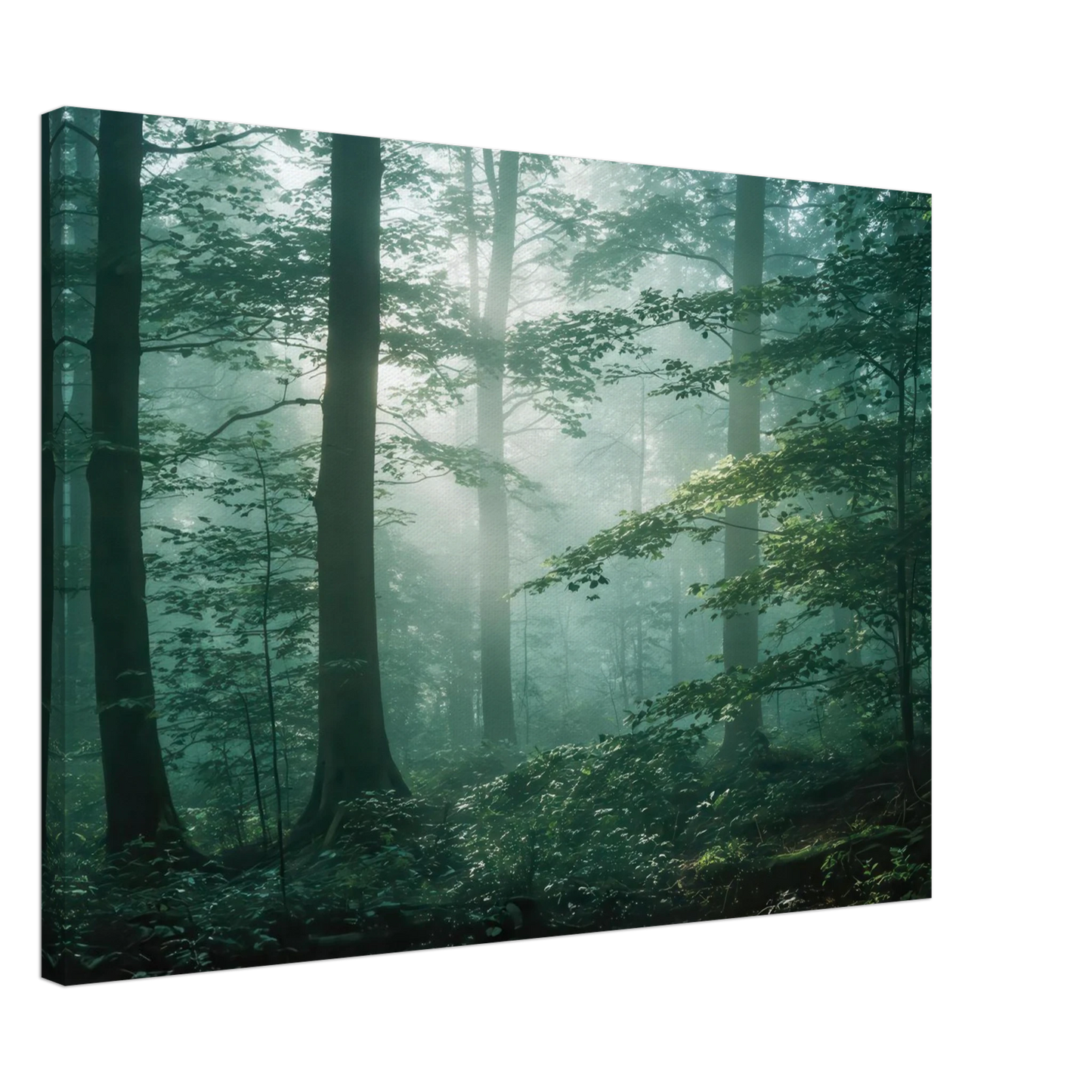 Wandbild mystischer smaragd wald mit sonnenstrahlen beruhigende nebelwald kunst in ihrer wunschgroesse