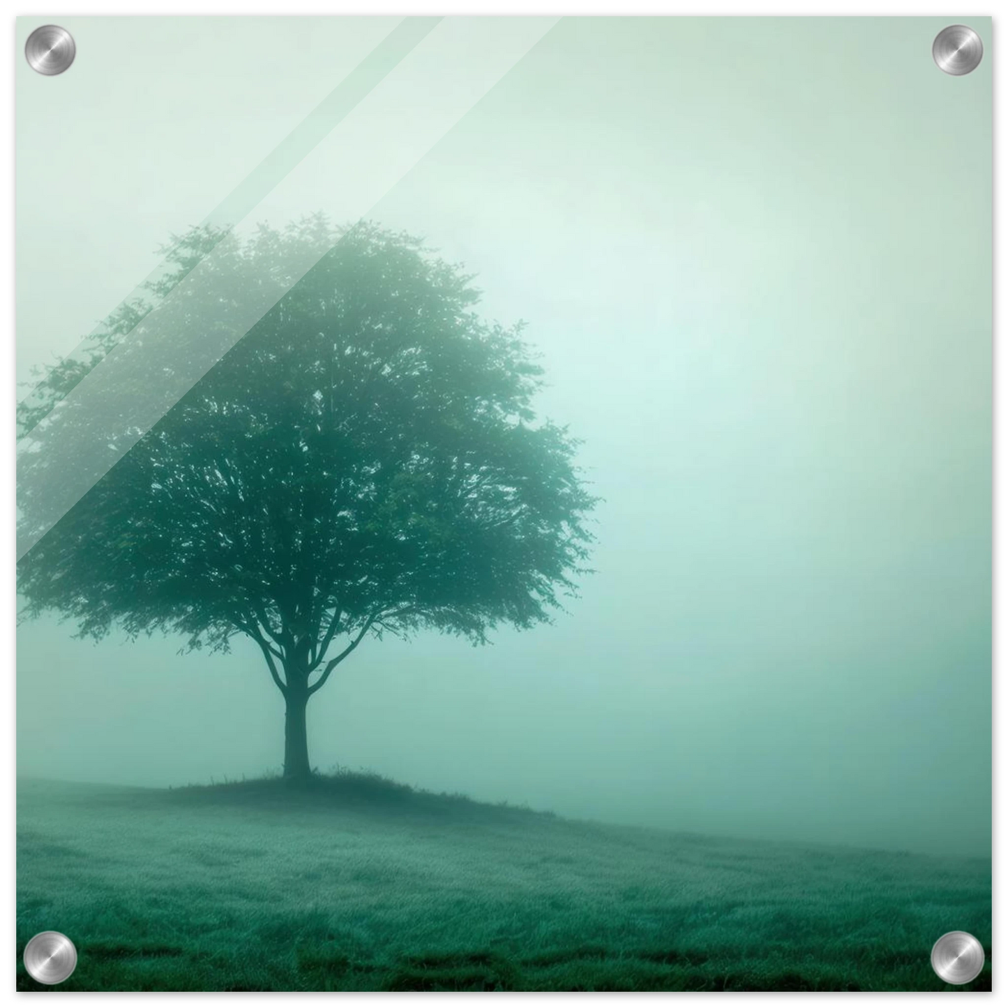 Wandbild mystischer baum im nebel ruhe und gruentoene fuer dein zuhause