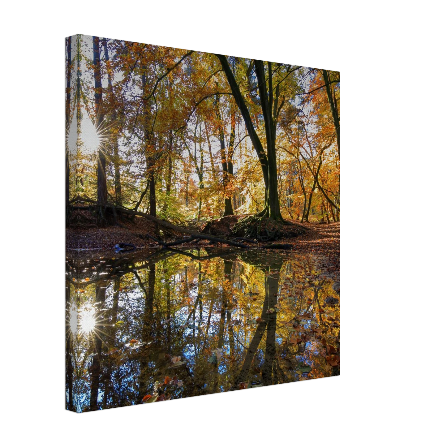 Wandbild goldener herbstwald stimmungsvolle spiegelung der natur in ihrer wunschgroesse