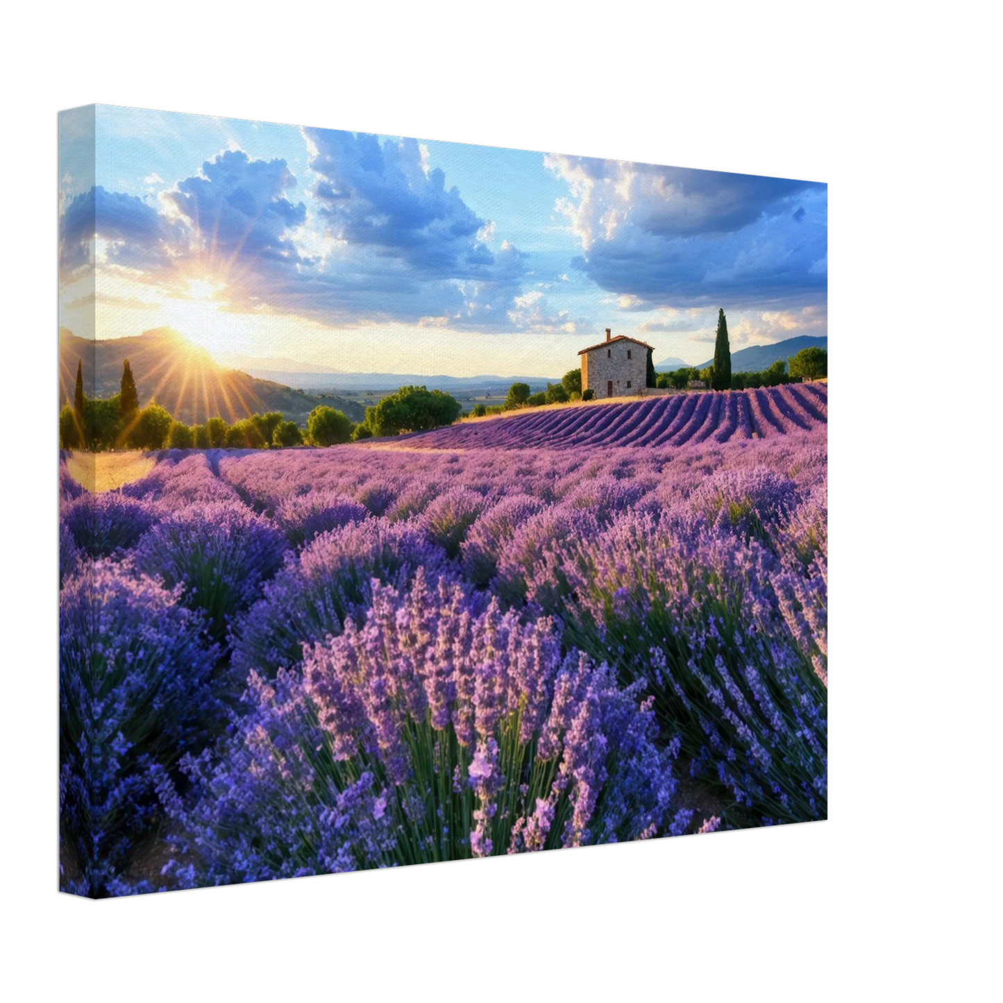 Wandbild sonnenuntergang ueber lavendelfeldern idyllische provence landschaft im wunschformat