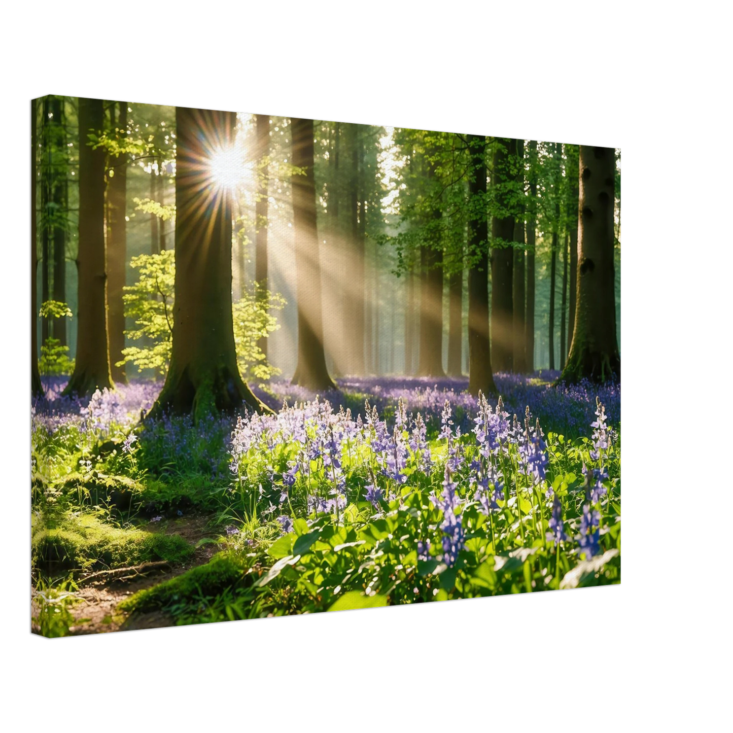 Wandbild mystischer morgenwald mit sonnenstrahlen und lila blueten in vielen groessen