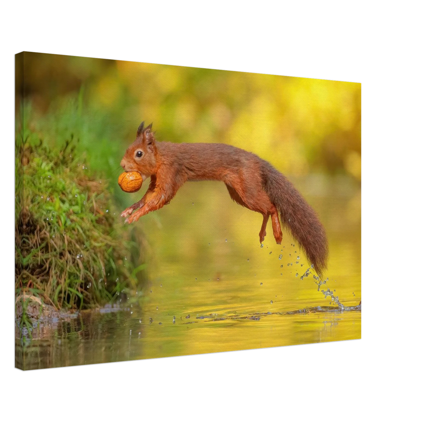 Wandbild eichhoernchen mit nuss dynamische tierkunst in leuchtenden herbstfarben