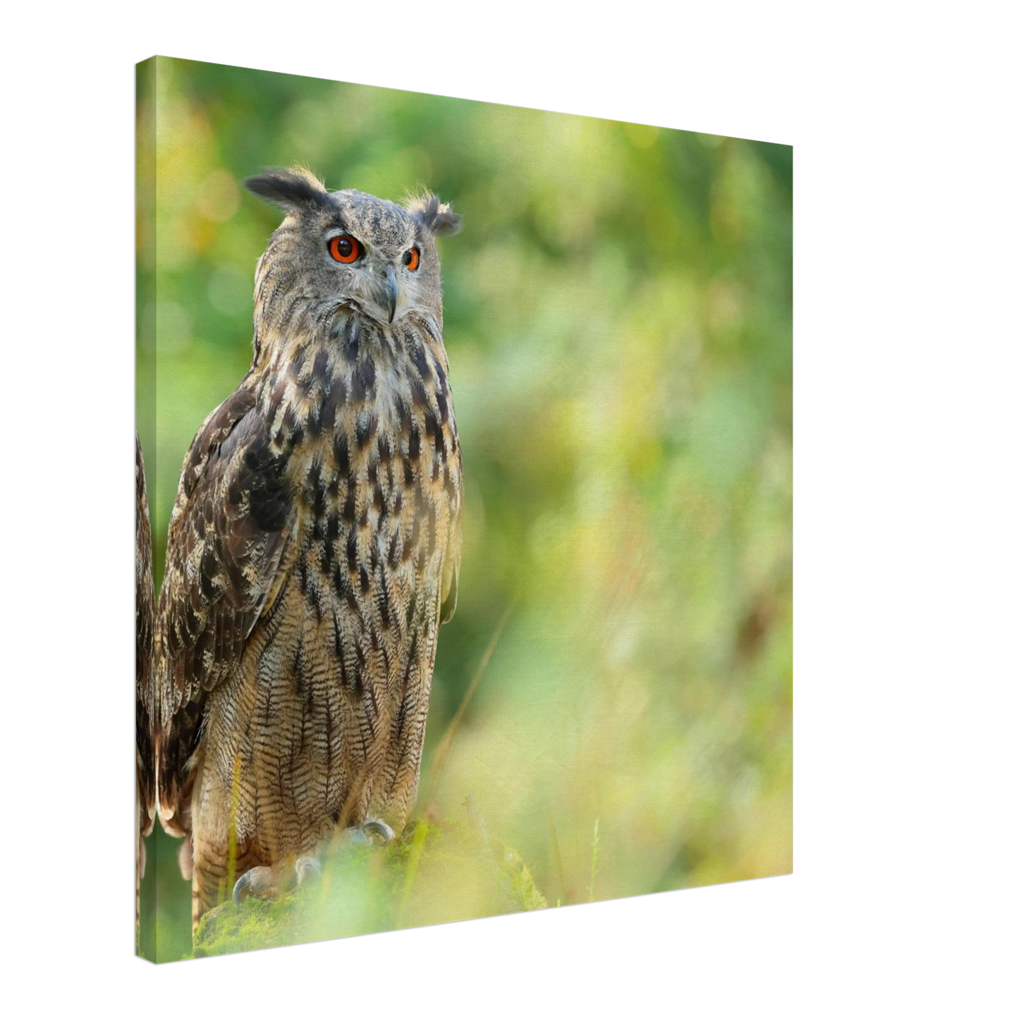 Wandbild mystische eule majestaetisches waldtier mit leuchtenden augen in ihrer wunschgroesse