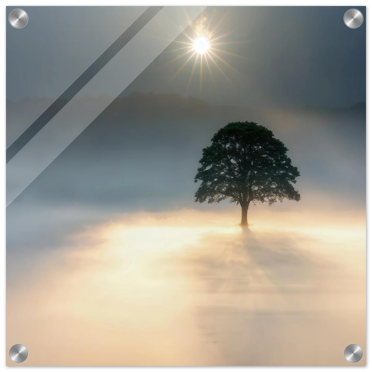 Wandbild mystisches baum wandbild einzelner baum im nebel sonnenaufgang waehlbar in verschiedenen groessen