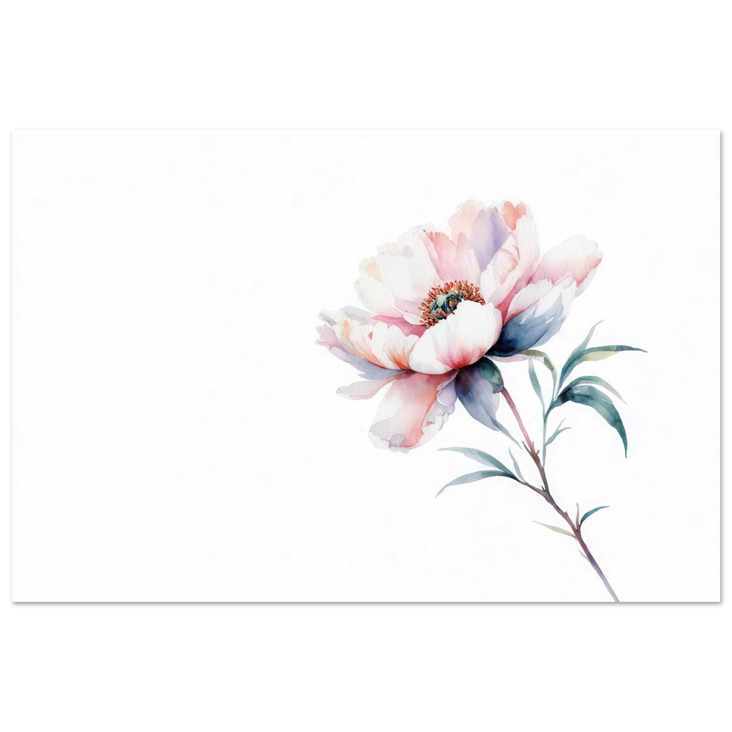 Wandbild zarte pfingstrose elegante aquarell kunst fuer ihr zuhause in wunschgroesse