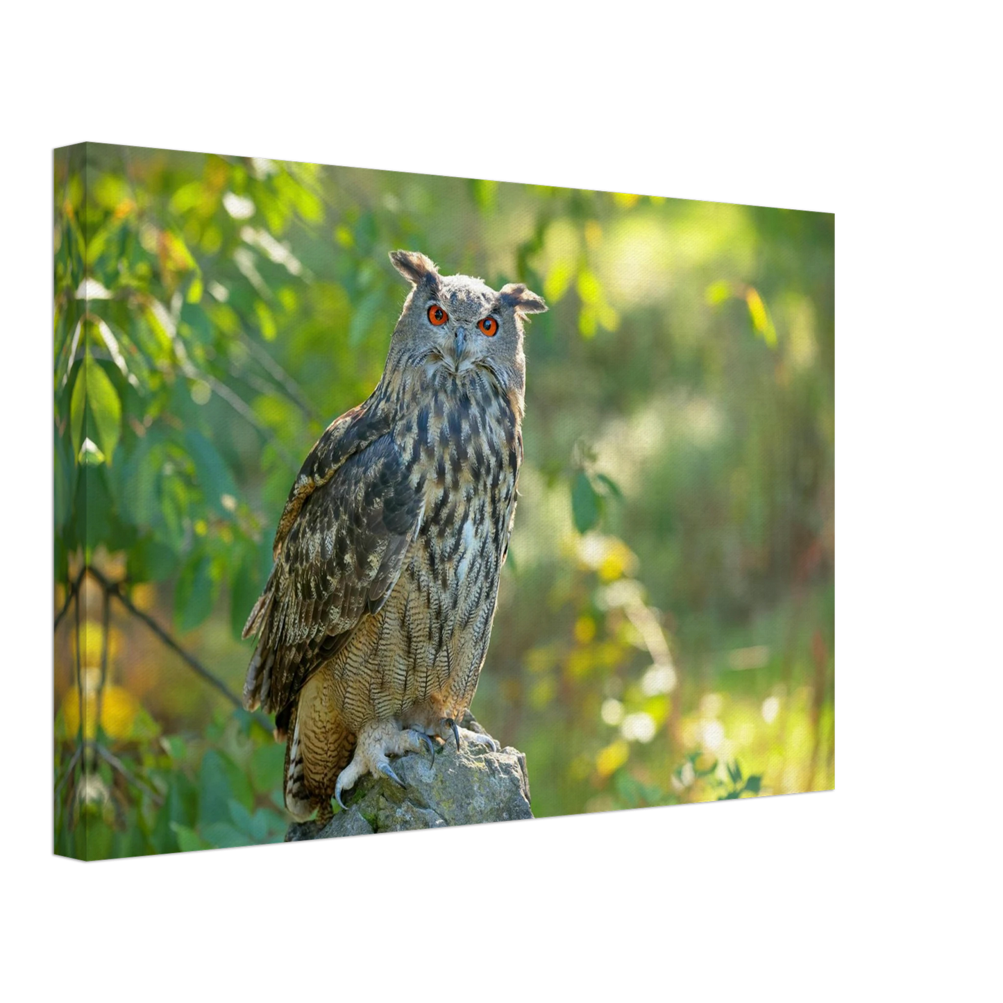 Wandbild mystische eule mit leuchtenden augen faszinierende wildtier kunst fuer ihr zuhause