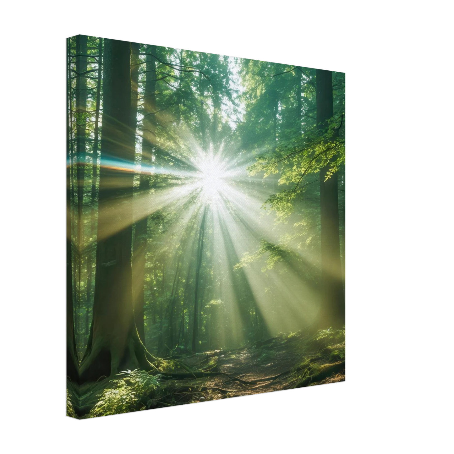 Wandbild sonnenstrahlen im wald mystisches waldlicht kunstdruck in ihrer wunschgroesse