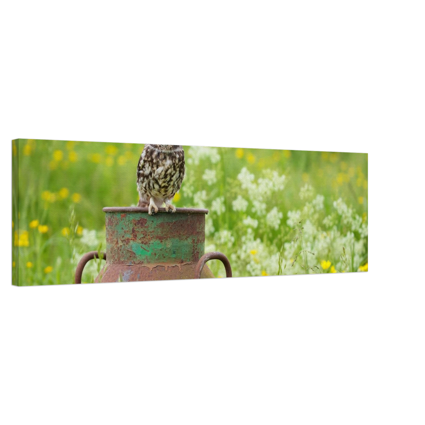 Wandbild rustikales eulen portraet ein blick in die natur auf ihrer wand in vielen groessen